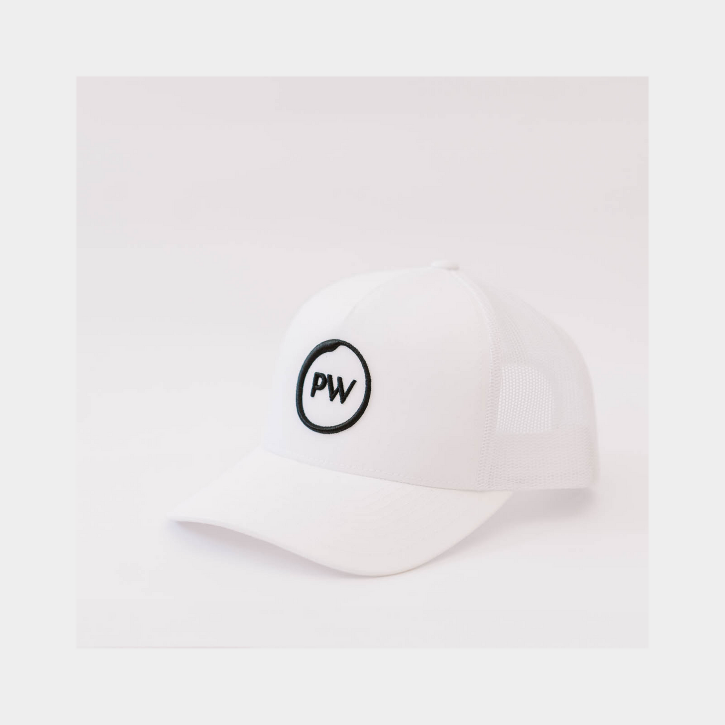Pursue Whole Embroidered Hat