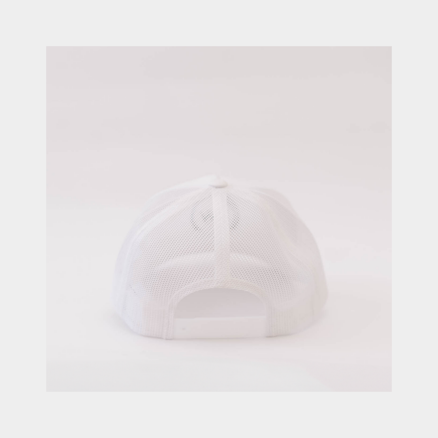 Pursue Whole Embroidered Hat